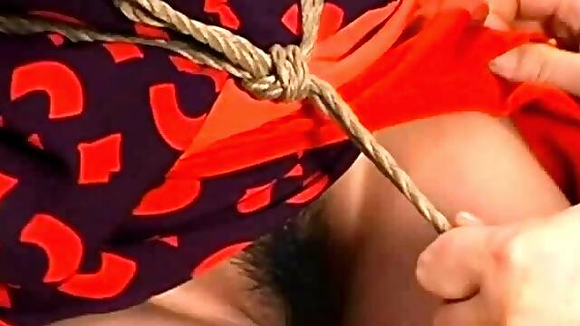 Free porn videos of blowjobs and group sex