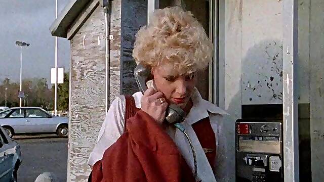 China and Silk (1984)