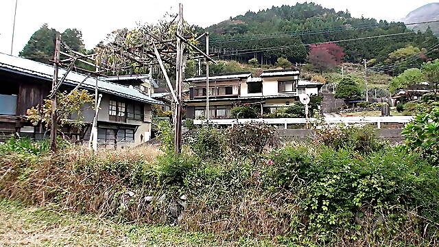 Young Chinese is shown how to fuck 