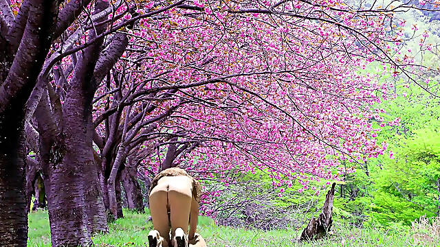 Blooming Spring