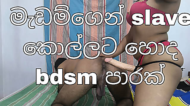 Srilankan mistress fuck her slave boy